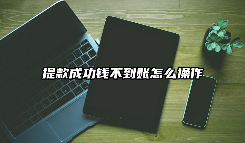 提现成功钱不到账怎么操作