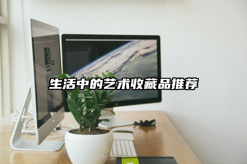 生活中的艺术收藏品推荐