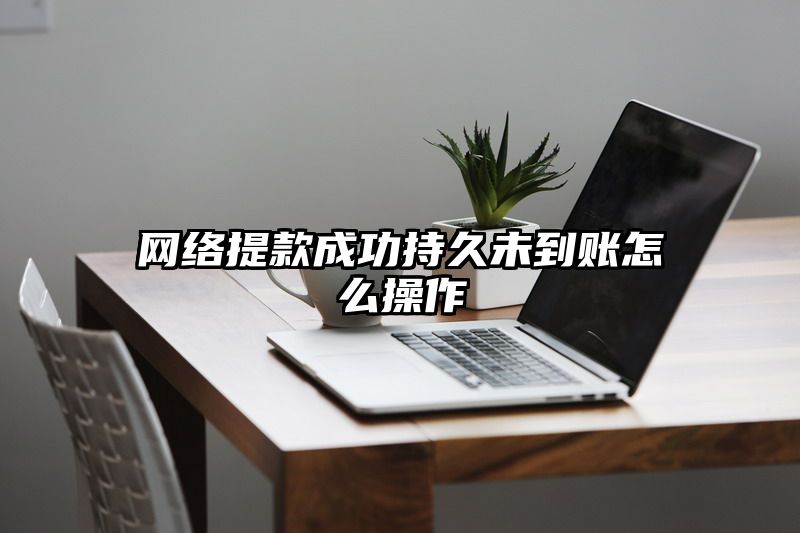 网络提现成功持久未到账怎么操作