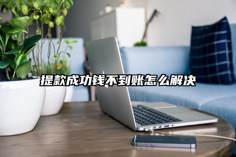 提现成功钱不到账怎么解决