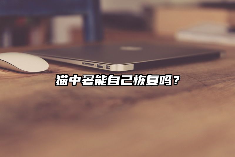 猫中暑能自己恢复吗？