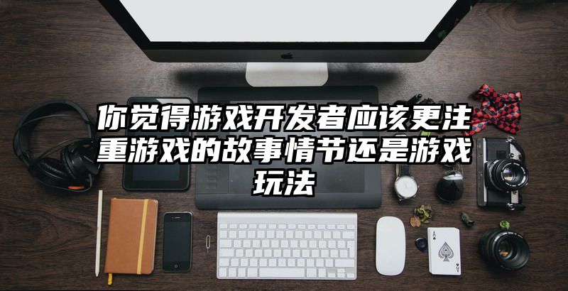 你觉得游戏开发者应该更注重游戏的故事情节还是游戏玩法