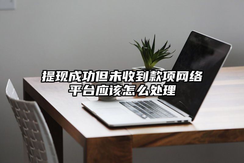 提现成功但未收到款项网络平台应该怎么处理