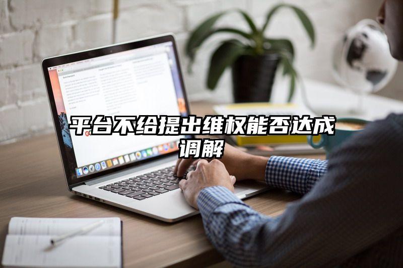 平台不给提出维权能否达成调解