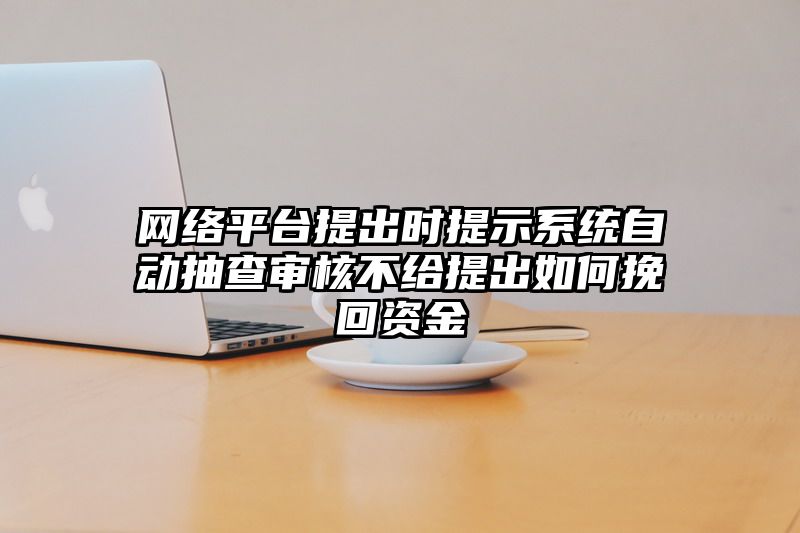 网络平台提出时提示系统自动抽查审核不给提出如何挽回资金