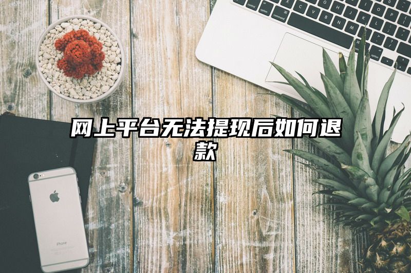 网上平台无法提现后如何退款