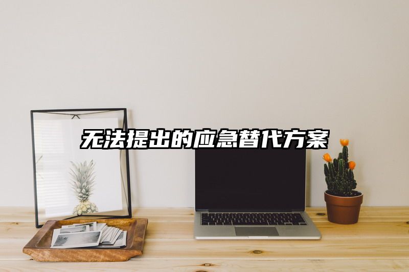 无法提出的应急替代方案