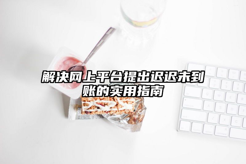 解决网上平台提出迟迟未到账的实用指南