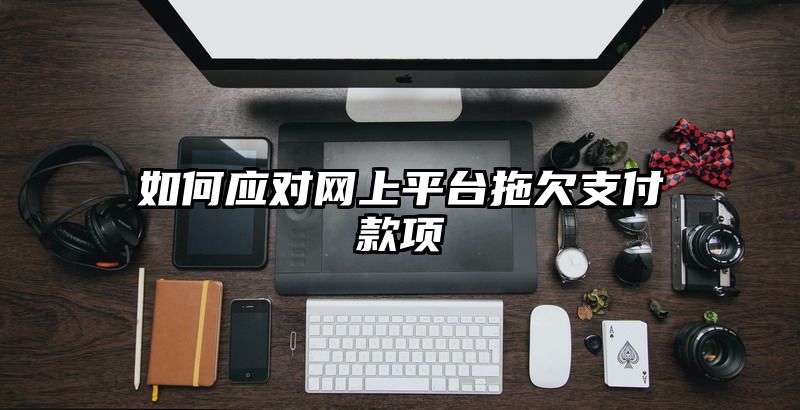 如何应对网上平台拖欠支付款项