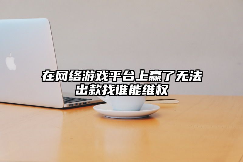 在网络游戏平台上赢了无法出款找谁能维权